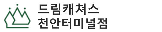 드림캐쳐스